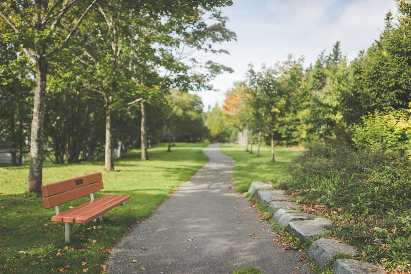Red park bench beside a paved path with trees and open sky